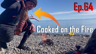 SOLO Catch and Cook  Winter diving  Crayfish [upl. by Darken514]