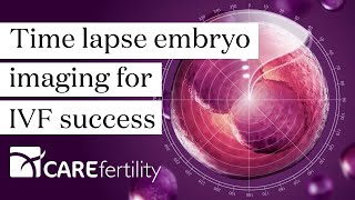 Time lapse embryo imaging for IVF success  CaremapsAI®  Care Fertility [upl. by Ogir]