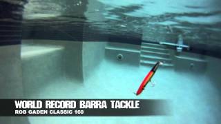 Rob Gaden Classic 160 Barra lure [upl. by Michigan]