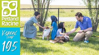 Petland Racine Kennel Tour 195 [upl. by Acul]