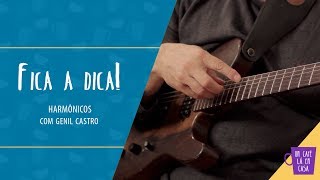 Fica a Dica do Convidado  Harmônicos na Guitarra  Genil Castro [upl. by Lertnahs510]