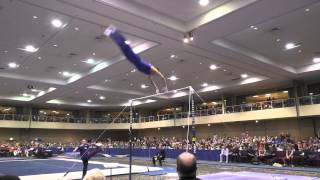 Danell Leyva – High Bar – 2015 Winter Cup Finals [upl. by Eiger]