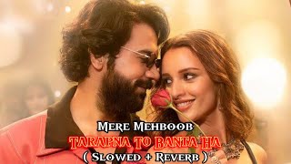 Mere Mehboob Song  Slowed  Reverb  New Song 2024  Vicky Vidya  Rajkummar  Triptii Dimri [upl. by Donatelli]