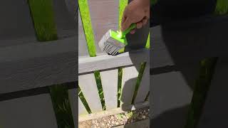 Getting the fence painted painting garden makeover [upl. by Treblah]