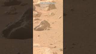 Perseverance Rover Sol 1282  Mars New 4k Video  Mars 4k Video  Mars In 4k  Mars shorts [upl. by Yenatirb]