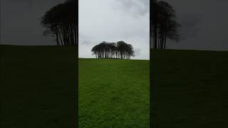 The Nearly Home Trees trees nearlyhometrees cornwall devon cookworthyknapp [upl. by Orestes]