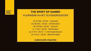 Oude Muziek in de Laurenskerk Vlog The Spirit of Gambo [upl. by Ala273]