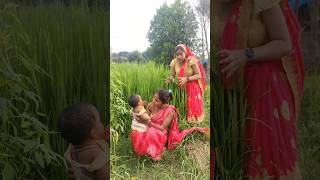 बच्चे चुराने से फायदा नहीं होता। 🥺 bollywood hindisong viralshort shortvideo viralvideo youtub [upl. by Euqinor502]