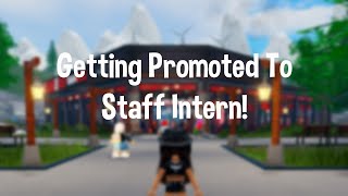 Getting Promoted To Staff Intern At Bambou Roblox [upl. by Nura761]