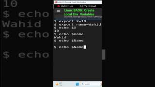 Linux BASH Create Local Env Variables shorts [upl. by Gnidleif]