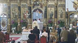 Episcopia GrecoCatolică de Oradea Live Stream [upl. by Tahpos]