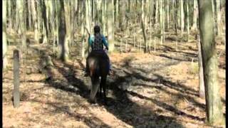 MtnTop Erin Go Braugh first trail ride  not for sale [upl. by Queen]