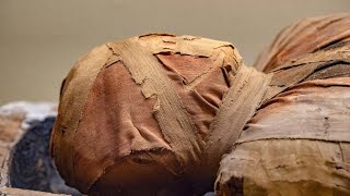 Over 4000YearOld Mummies Had Atherosclerotic Heart Disease [upl. by Alurd]