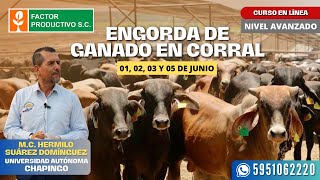 CURSO ENGORDA DE GANADO EN CORRAL NIVEL AVANZADO [upl. by Acimahs]