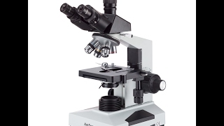 AmScope T490B Compound Trinocular Microscope 40X2000X Magnification [upl. by Rainie]