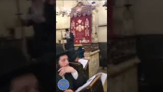 Liminov Rebbe Singing In The Maharals Shul In Prague  Nissan 5784 [upl. by Ycniuqal]