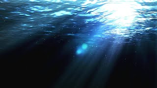 Copyright Free Underwater Background Loop  Motion Graphics Animated Background [upl. by Durman]