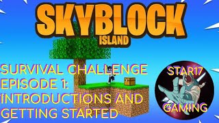 MINECRAFT SURVIVAL CHALLENGE Skyblock by Pickaxe Studios 1 [upl. by Svirad]