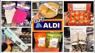 ALDI FINDS THIS WEEK  ALDI FOOD SHOPPING  ALDI FALL 2024  ALDI SHOP WITH ME [upl. by Nagey]