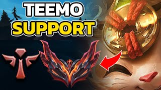 TEEMO SUPPORT GRANDMASTER GAMEPLAY LOL OFFMETA BUILDGUIDE HOW TO PLAY TEEMO SUPPORT [upl. by Gilman]