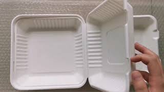 Wholesale China biodegradable and compostable bagasse clamshell food container [upl. by Arahat937]