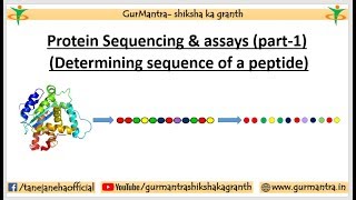 PROTEIN SEQUENCING amp ASSAYS  N amp C TERMINAL AMINO ACID ANALYSIS  PART1 [upl. by Annola]