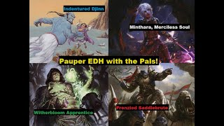 Pauper EDH with the Pals  Indentured Djinn vs Minthara vs Witherbloom Apprentice vs Frenzied Saddle [upl. by Anderea]