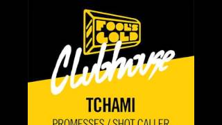 Tchami  Promesses feat Kaleem Taylor [upl. by Lolita]