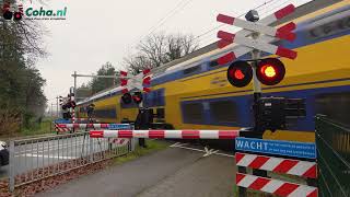 Spoorwegovergang DriebergenRijsenburg 😍4K😍  Dutch railroad crossing [upl. by Cohn859]