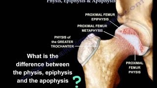 Growth Plates Physis Epiphysis amp Apophysis  Everything You Need To Know  Dr Nabil Ebraheim [upl. by Anairad]