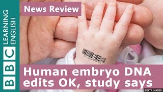 Human embryo DNA editing OK says study BBC News Review [upl. by Sidoney242]