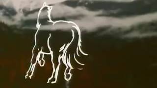 The iCiCLE WORKS  Hollow Horse music video [upl. by Wendt591]