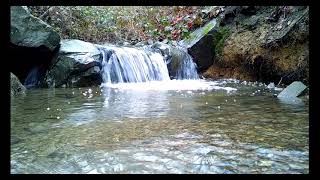 Ruhiger Wasserfall im Wald Vögel singen im Wald ASMR [upl. by Serrano]