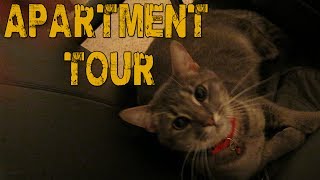 New Apartment Tour amp Updated Setup 112613 [upl. by Jobi363]