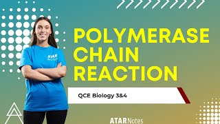 Polymerase Chain Reaction  QCE Biology 3amp4 [upl. by Malek]