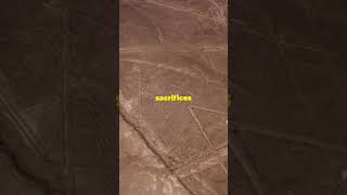 We Found New Nazca Lines Using AI [upl. by Warenne667]