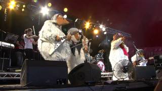 The Wombles  Remember Youre A Womble Live at Glastonbury 2011 [upl. by Strickland]