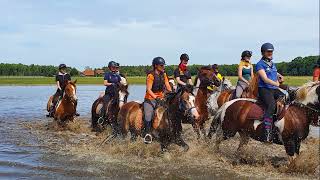 Ponykamp het Fjordenpaard [upl. by Celio189]