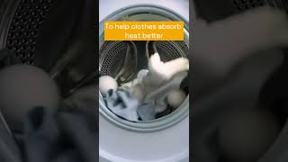 Do Dryer Balls Really Work shortvideo pets video [upl. by Nordgren100]