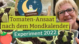 Erste Tomatenansaat 2022 nach dem Mondkalender [upl. by Benetta237]