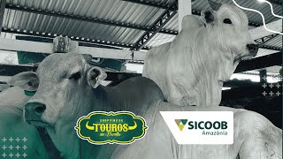 Sicoob Amazônia presente no Shopping de Touros de BuritisRO com soluções financeiras para o agro [upl. by Rie459]