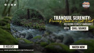 Tranquil Serenity Running Creek in a Lush Forest  Relaxation amp Meditation [upl. by Claretta]