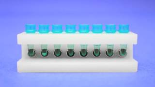 Magnetic Bead Separation in 02ml PCR Tubes [upl. by Spring424]