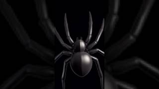 The giant enemy spider [upl. by Magnuson]