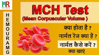 MCH blood test in hindi  MCH कम क्यों होता है  MCH नार्मल कैसे करें  MCH low के लिए क्या खाएं [upl. by Mulderig]