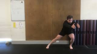 Mobility Lateral Step with Bilateral Arm Reach at Chest Height [upl. by Harimas]