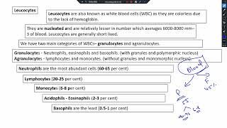 chapter  15  body fluids and circulation  NEET 2025 NCERT based [upl. by Einot]