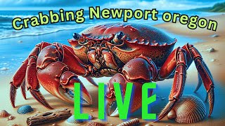 🦀 CRABBING LIVE 🦀 [upl. by Zel731]