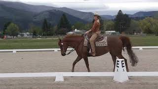 western dressage level 2 test 4 [upl. by Solahcin851]