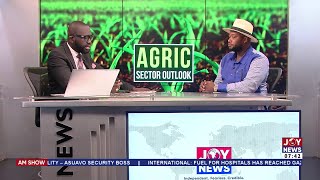 Govt must be brave enough to stop poultry importation  CEO Chamber of Agribusiness Ghana AM Show [upl. by Nivle]